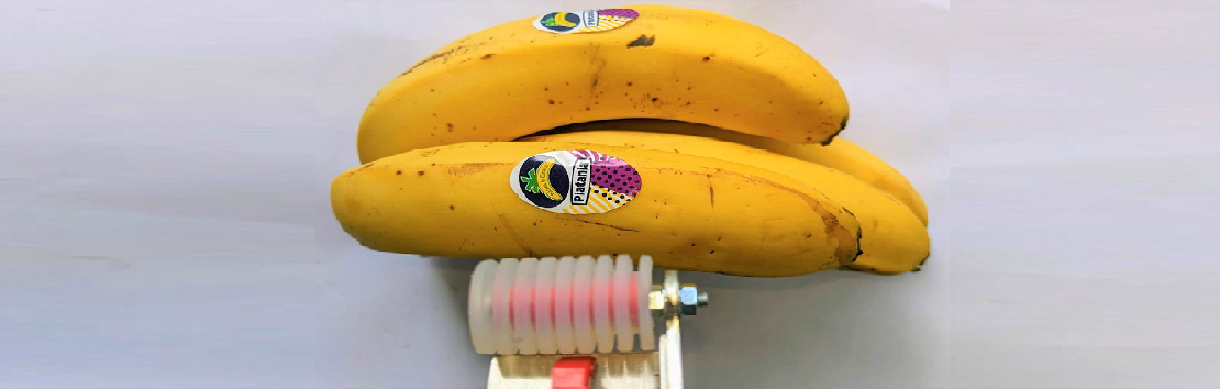 Etikettiermaschinen für Kochbananen und Bananen